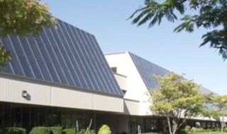 Head Office